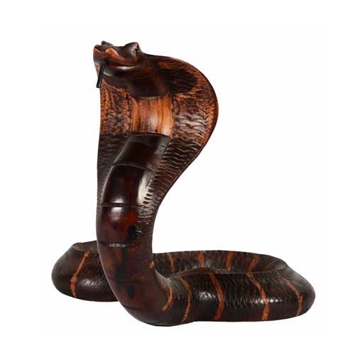 Mahogany Snake - Medium