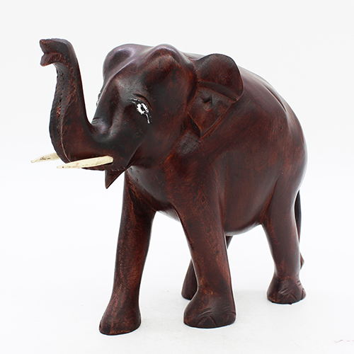 Wild Elephant - T up