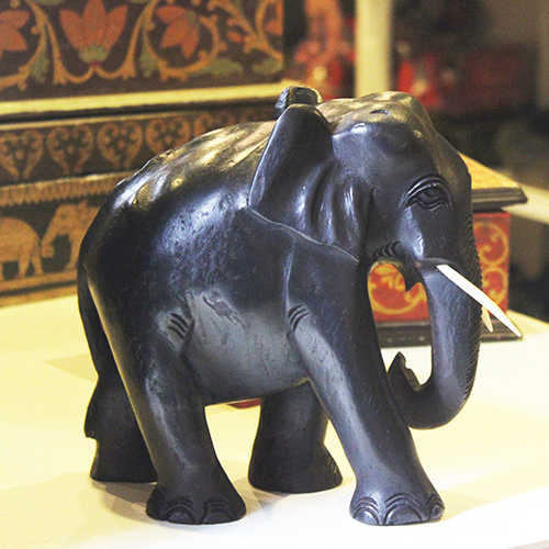 Sri Lankan Majestic Elephant 